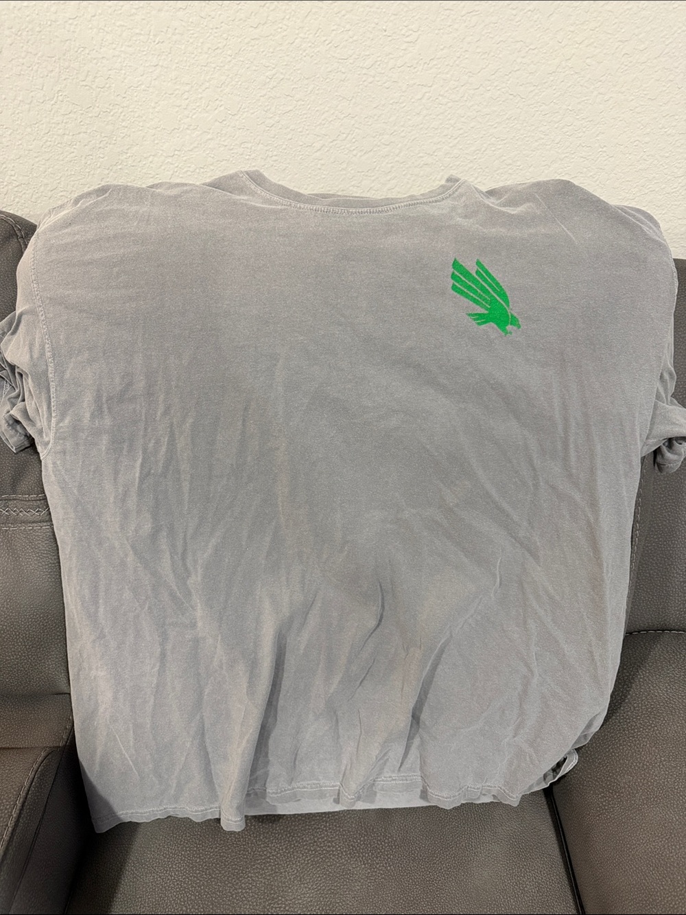 Comfort Colors Gray Short Sleeve Tee with Green Logo